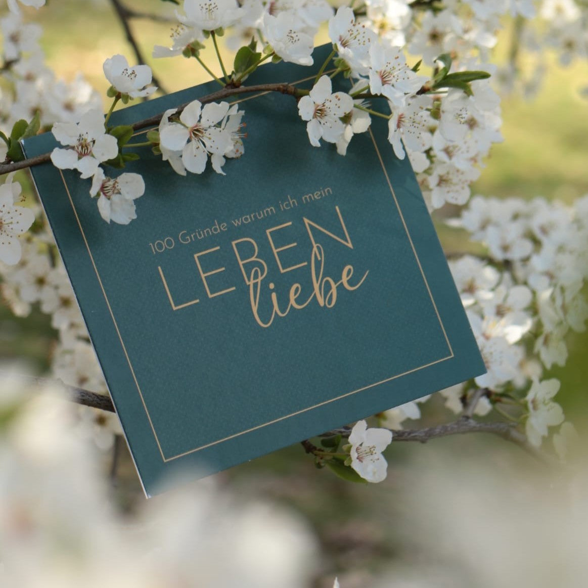 Journal-Cover mit Leinenband