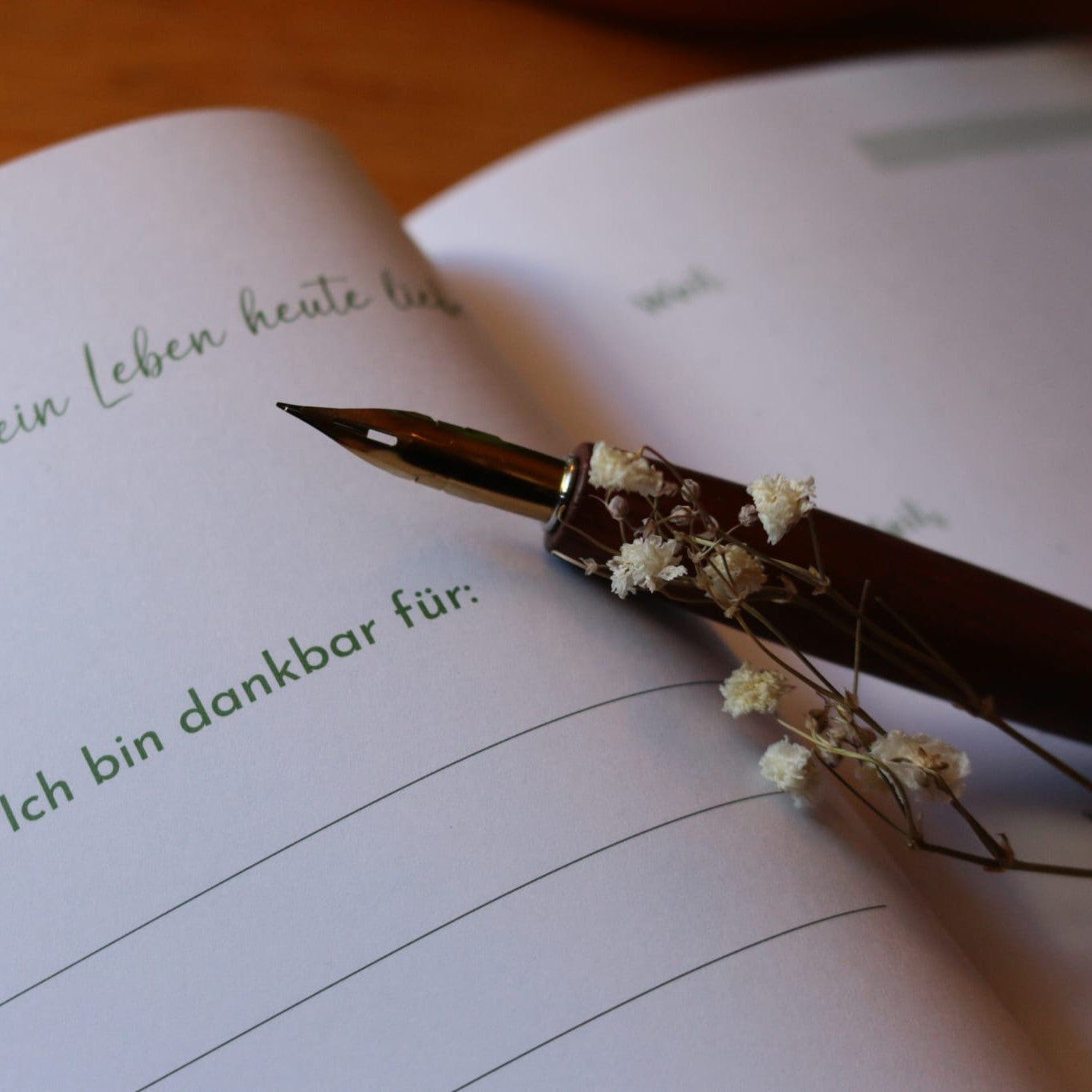 Blick in das Dankbarkeitstagebuch