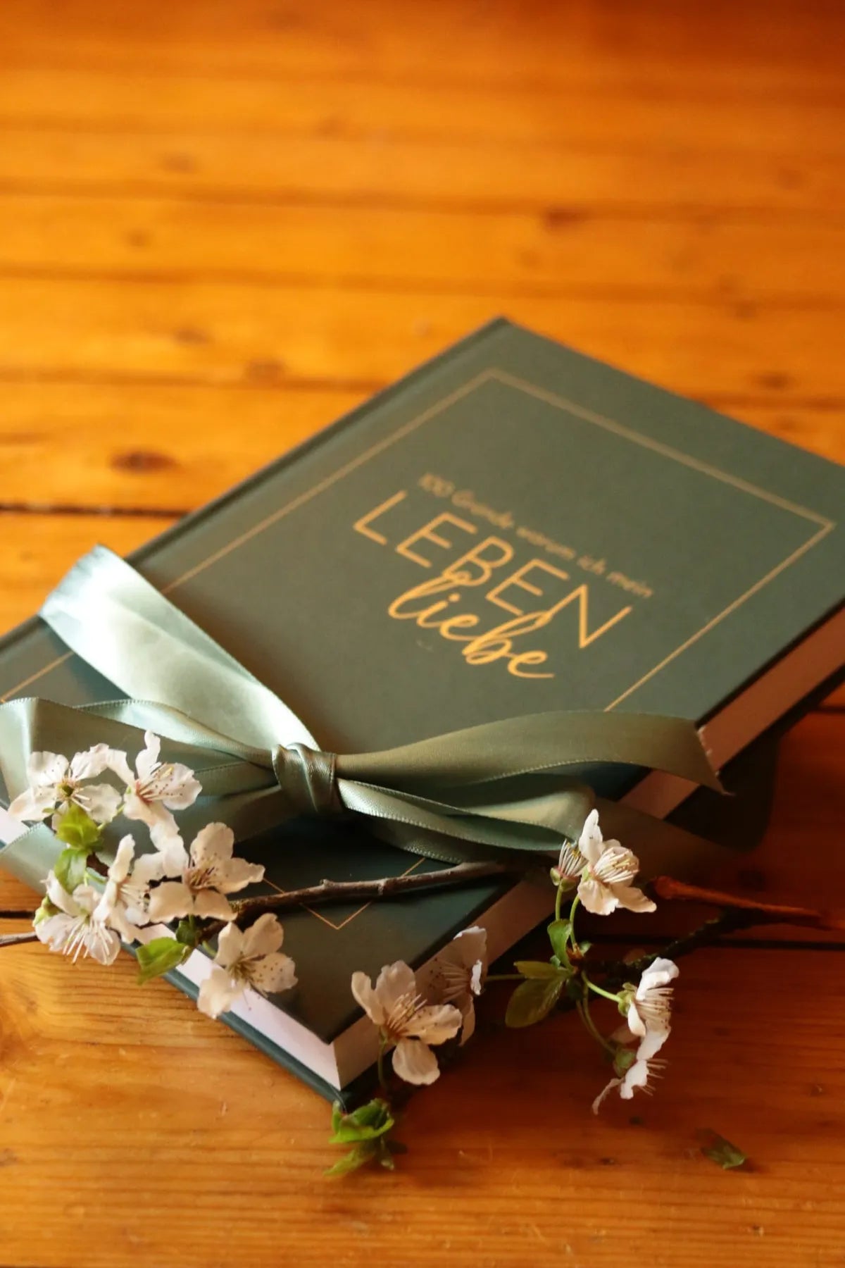 LEBEN.LIEBEN. Journal Innenansicht