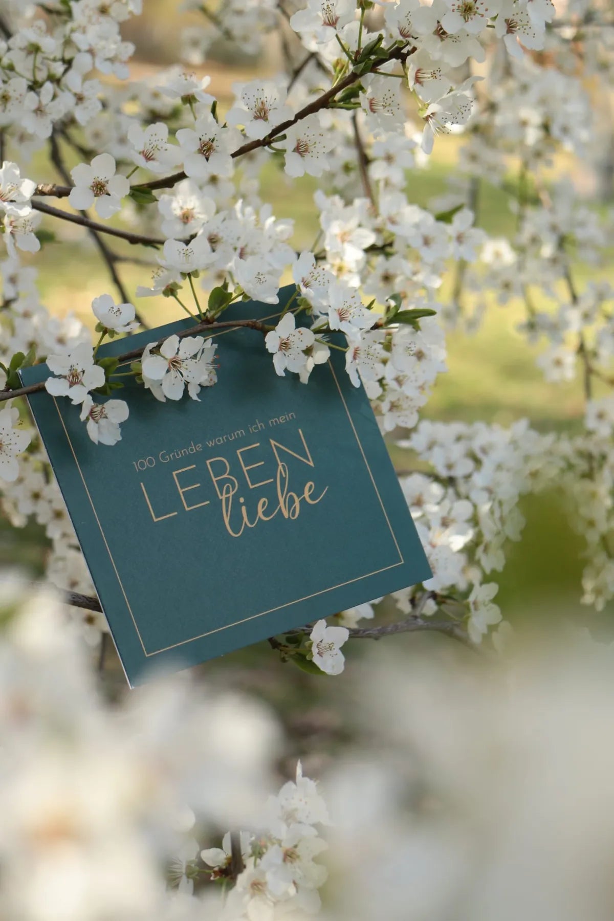 LEBEN.LIEBEN. Journal im Gr&uuml;nen