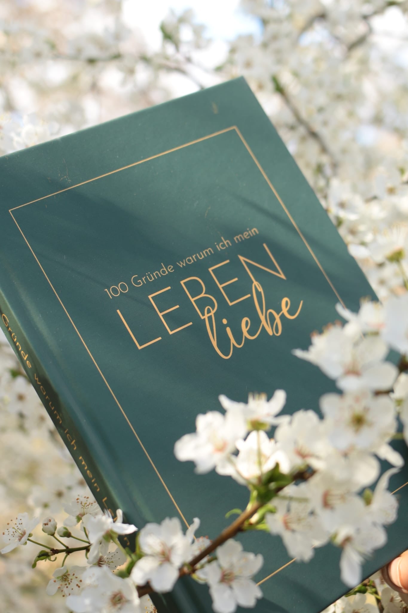 LEBEN.LIEBEN. Gratitude Journal - das perfekte Geschenk