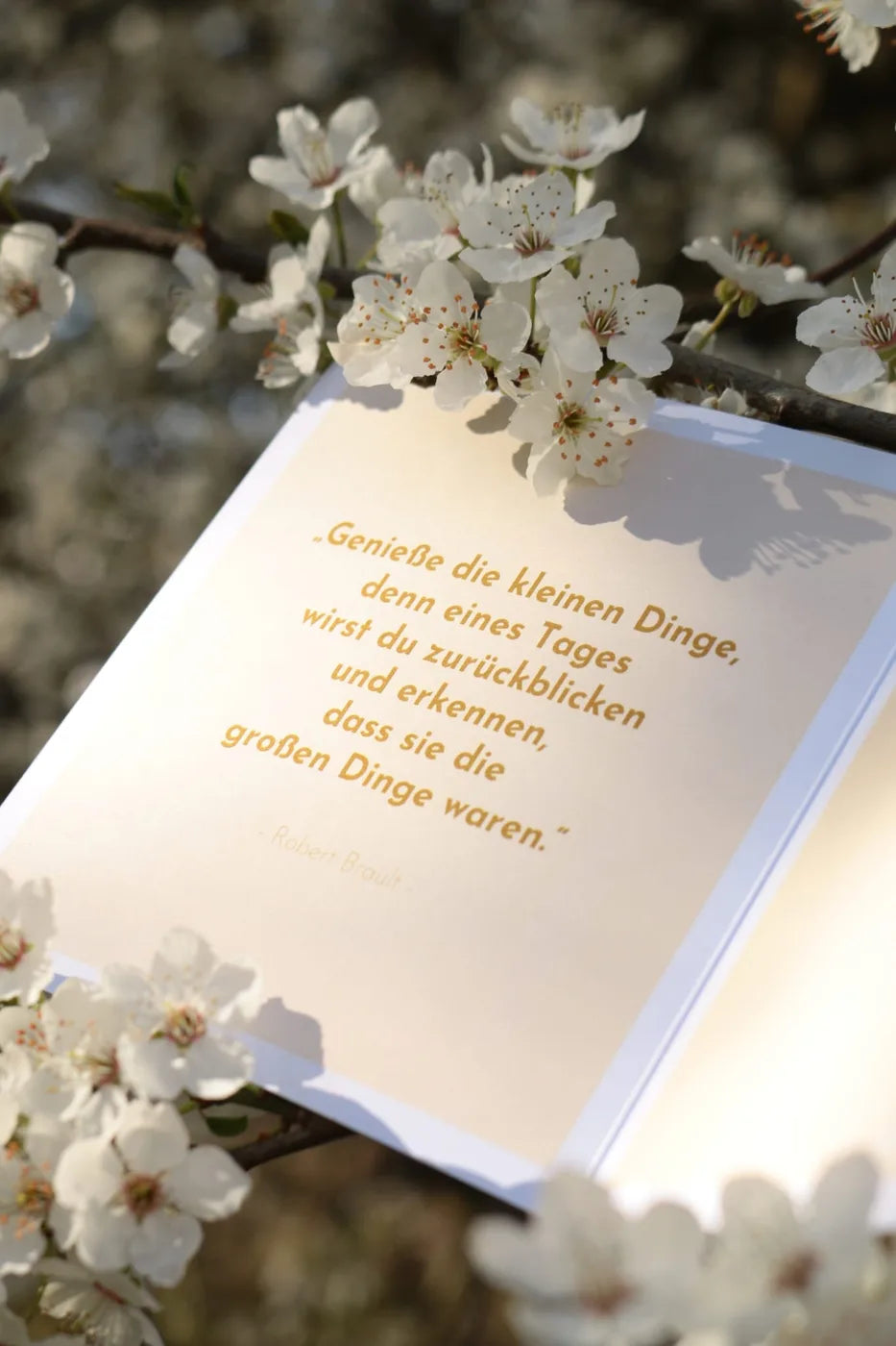 LEBEN.LIEBEN. Journal Innenseiten mit handschriftlichen Eintr&auml;gen